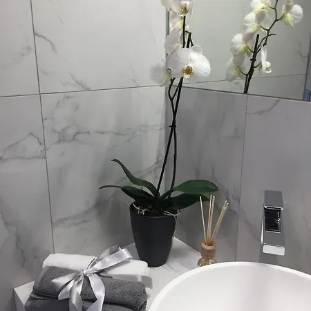 Borea Luxury Отель типа 