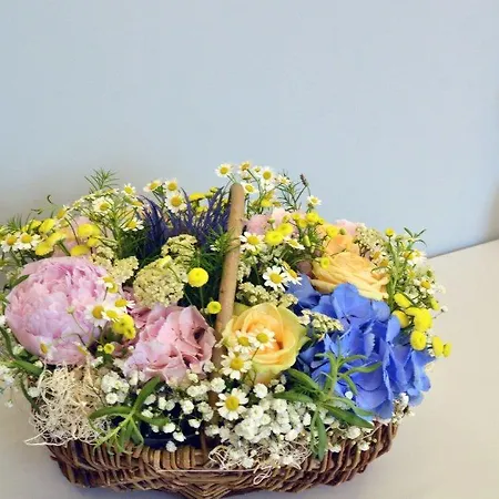 Borea Luxury Frühstückspension