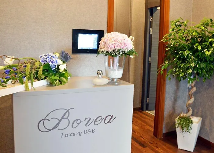 Oda ve Kahvaltı Borea Luxury