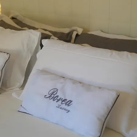 Borea Luxury Bed & Breakfast 3*
