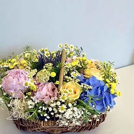Borea Luxury 4* ペスカーラ