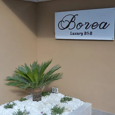 Borea Luxury