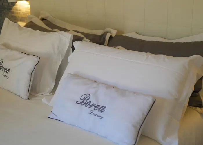 Borea Luxury Panzió 4*