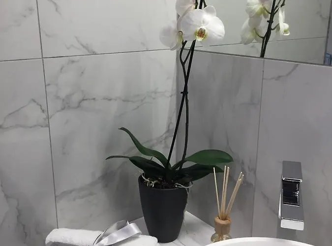 Borea Luxury Panzió