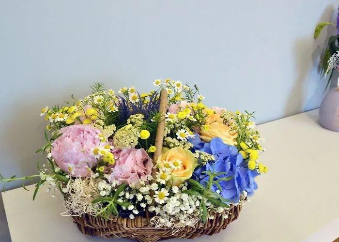 Borea Luxury Panzió